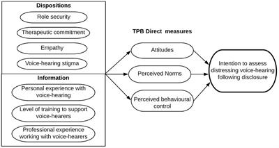 “Attitudes to voices”: a survey exploring the factors influencing clinicians’ intention to assess distressing voices and attitudes towards working with young people who hear voices